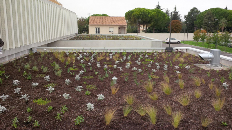 Toiture végétalisée Montpellier